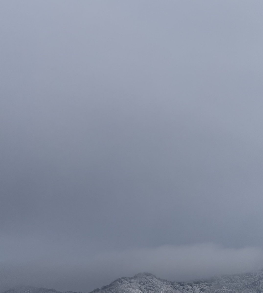 RT @ZzzPokapoka: 令和8年2月9日(月) おはようさん📕 今朝は一段とよぉ