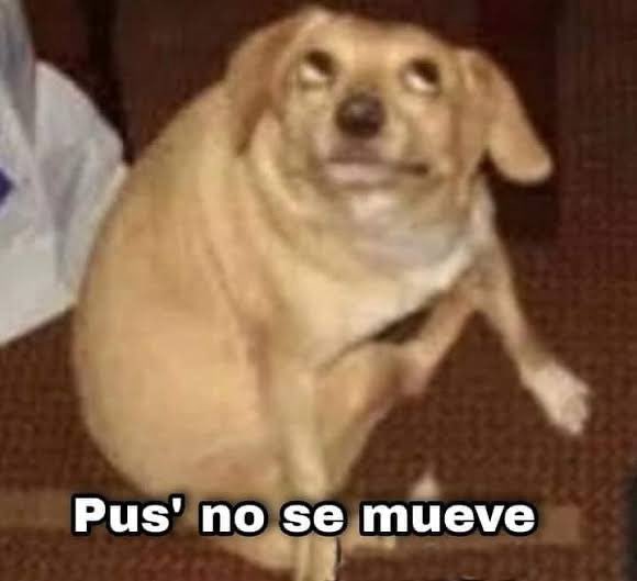 Suena la #alertasísmica 

Yo mirando la lámpara #sismo #temblor