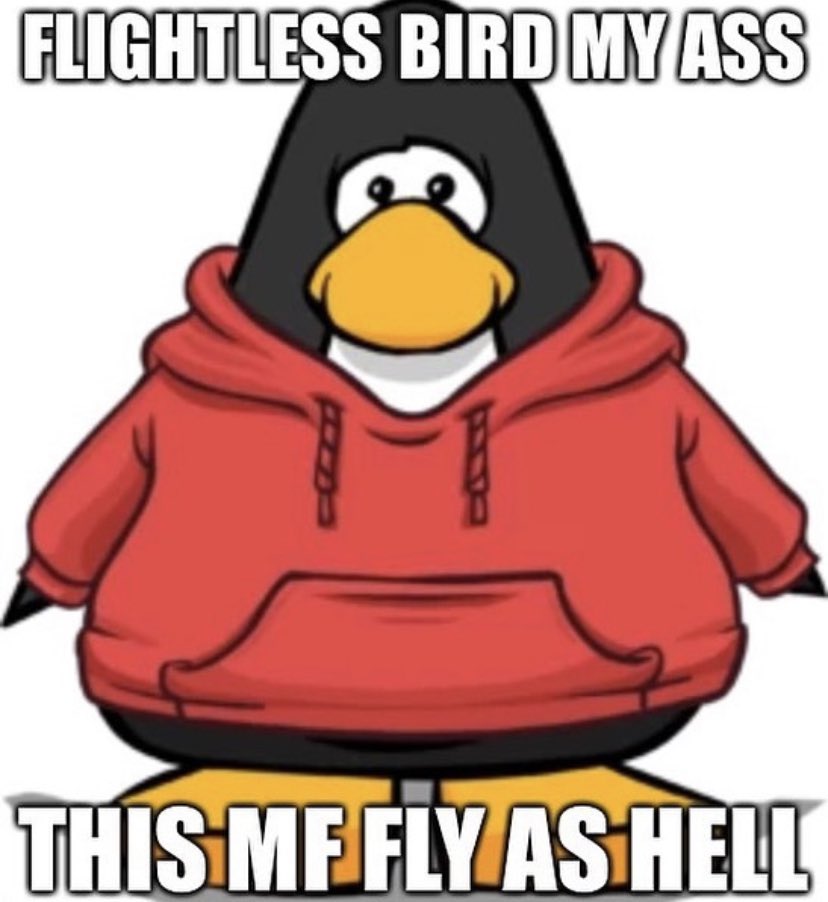 shitposts i found in my attic tweet media