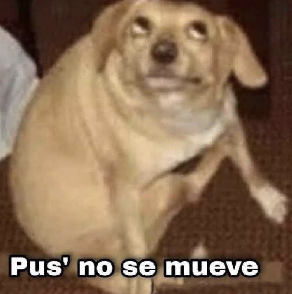 Yo viendo los cables de la luz de mi colonia #temblor #alertasísmica