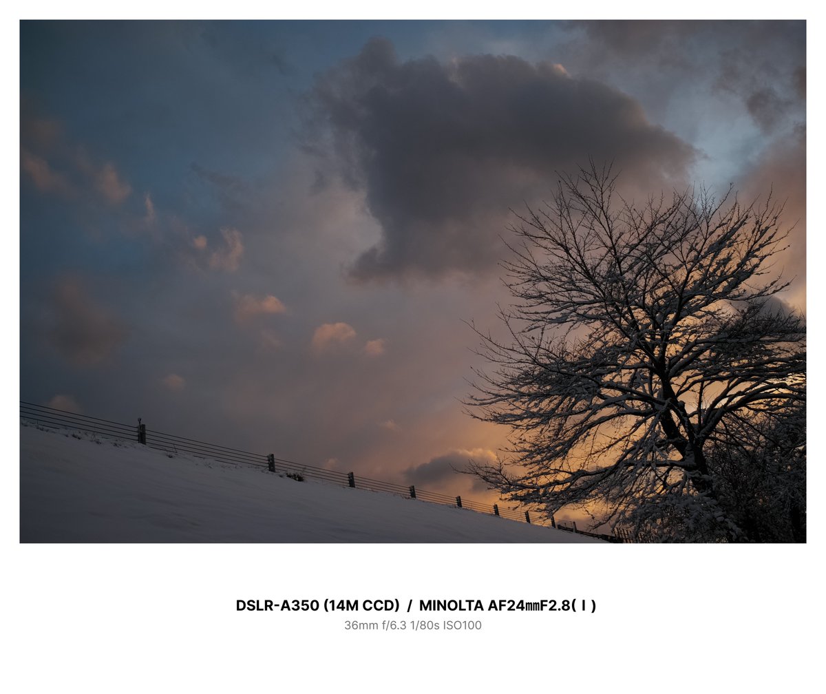 おはようございます。
なんという寒さ、、、(^^;)

#SONY #α350 #CCD #Aマウント 
#MINOLTA #α初期レンズ 
#型落ち機材同盟 #SILKYPIX12
