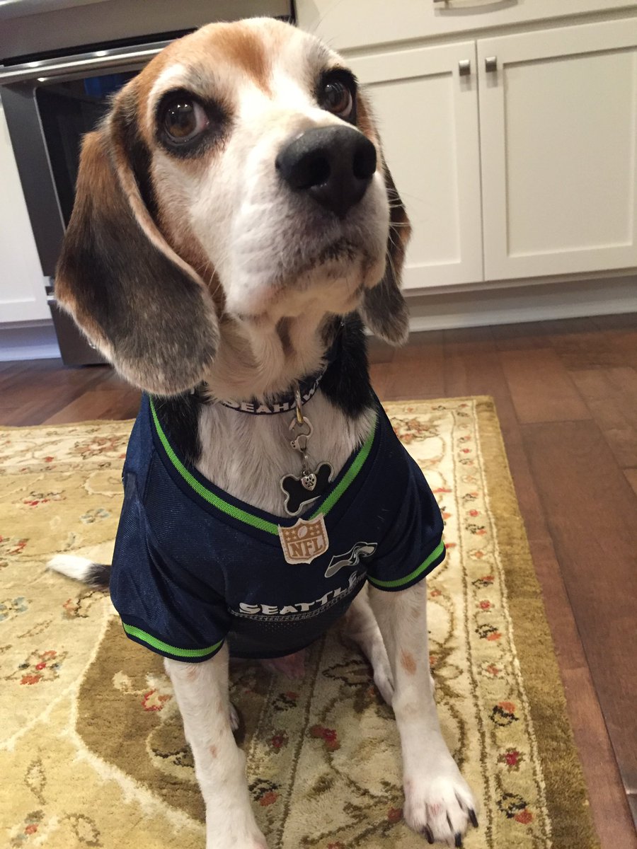 Marco Socrates Po-Lo 🎈 tweet media