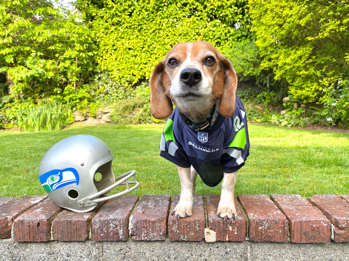 Marco Socrates Po-Lo 🎈 tweet media