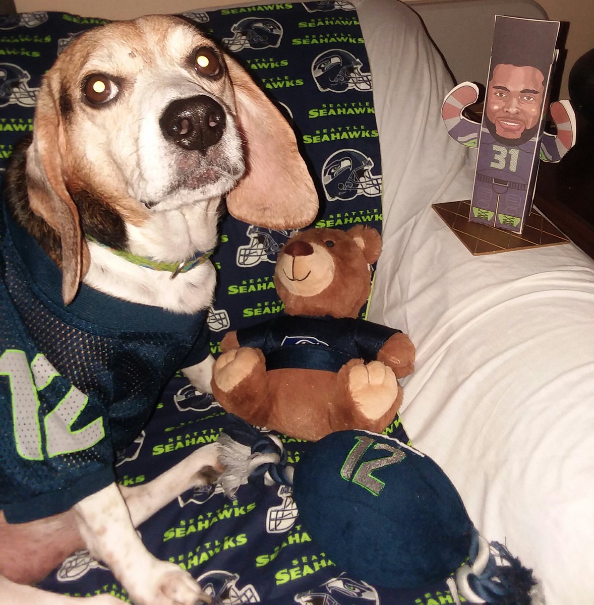 Marco Socrates Po-Lo 🎈 tweet media