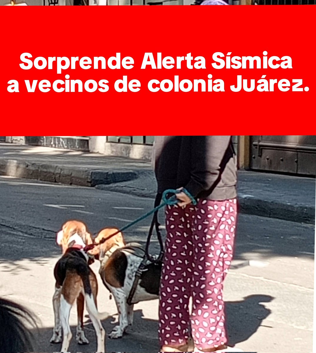 La Colonia Juárez tweet media