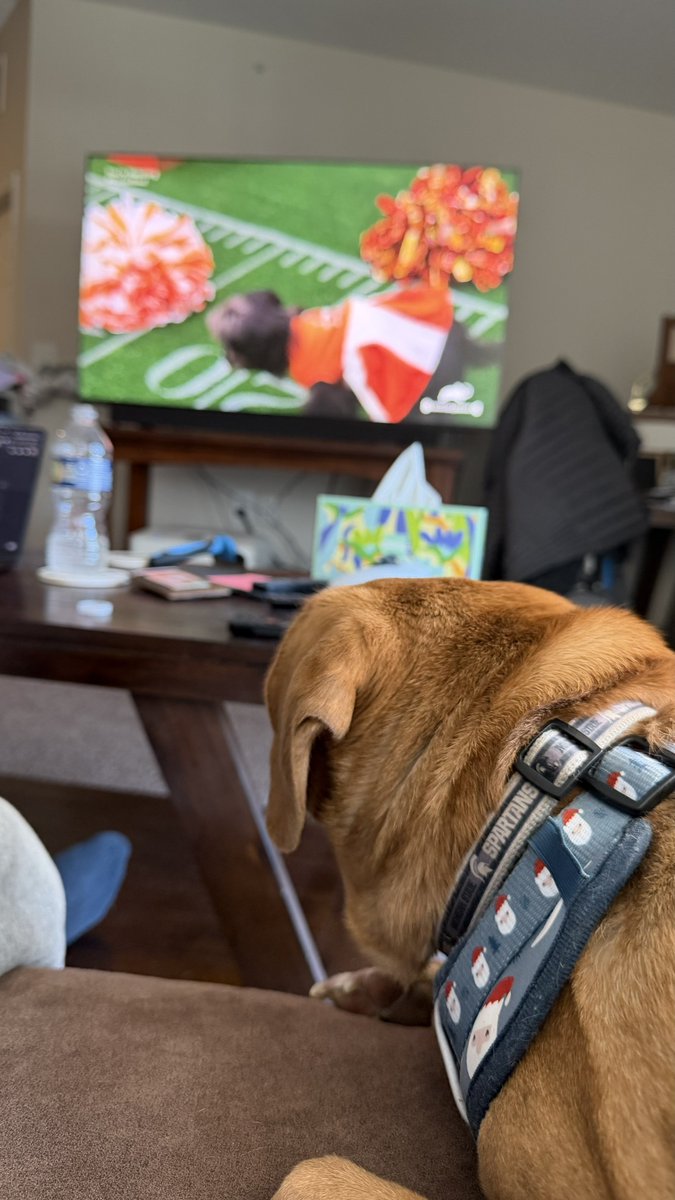 kalawrence9's tweet photo. #TeamFluff pulls out the victory. I suspect there was some clock manipulation because that final 33 seconds took forever. #PuppyBowl https://t.co/8ylCOTd5pB