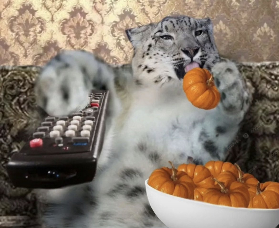 Leopard_Maws tweet media