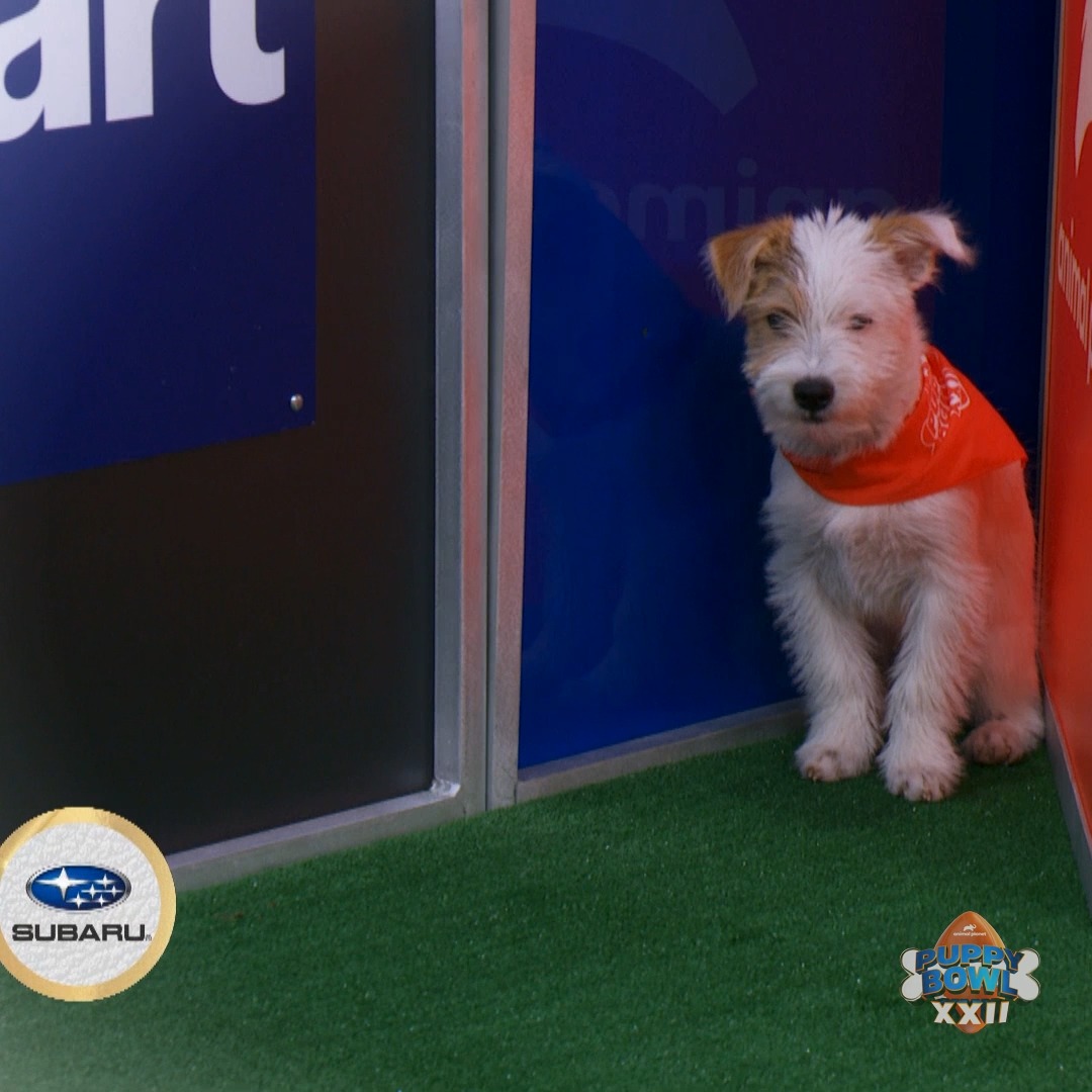 ଘ( ˙꒳​˙ )ଓ⁾⁾💔はつみ (@mdr323) / Posts / X