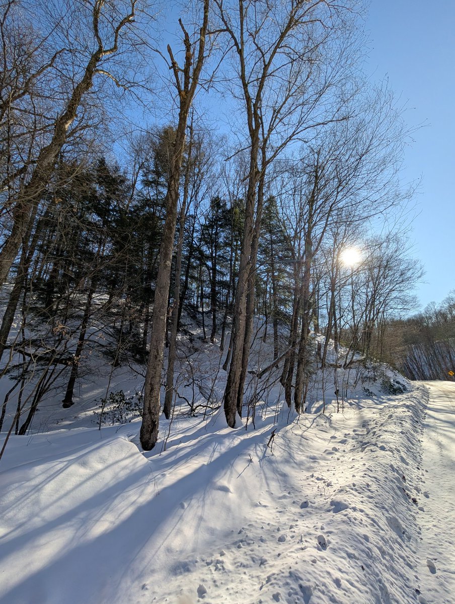 dylan douglass tweet media