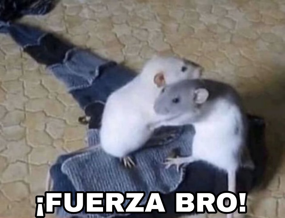 Funeraria Alache tweet media