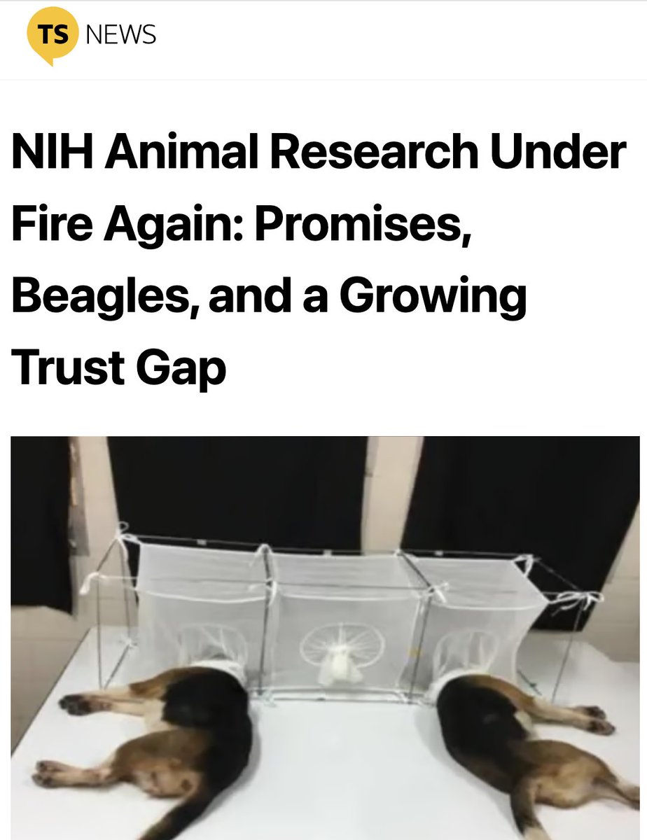 WhiteCoatWaste's tweet image. 👀