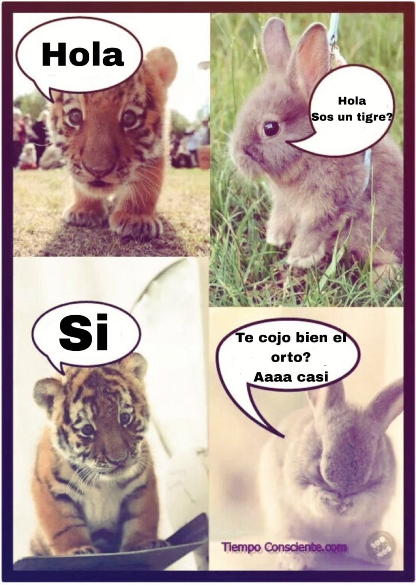 escklandado (@escklandado) on Twitter photo 