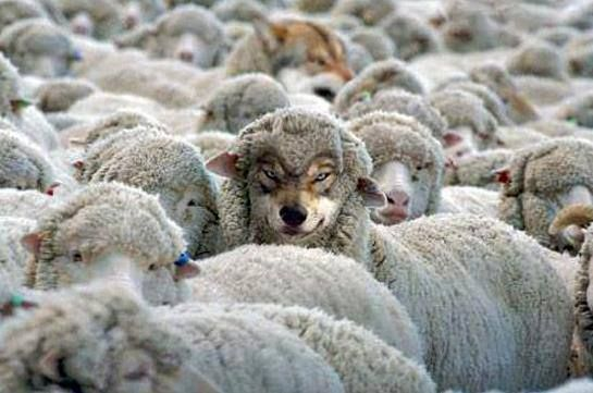 gunk4188's tweet photo. how it feels when embark puts me in friendly stella montis lobbies https://t.co/DDYDee43ZM