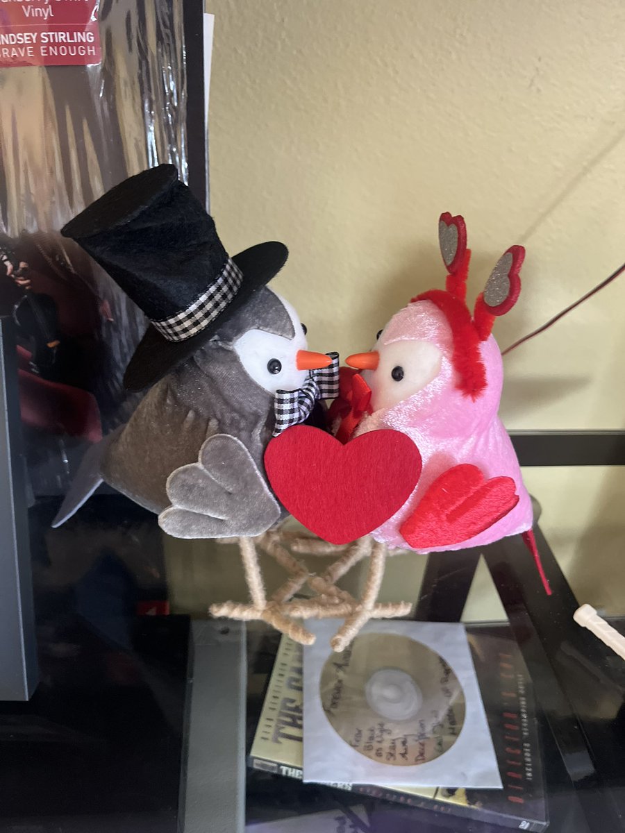 <a href="/Metal_Josh/">Joshua McLard</a> and I as birds lol 🥰😘💛