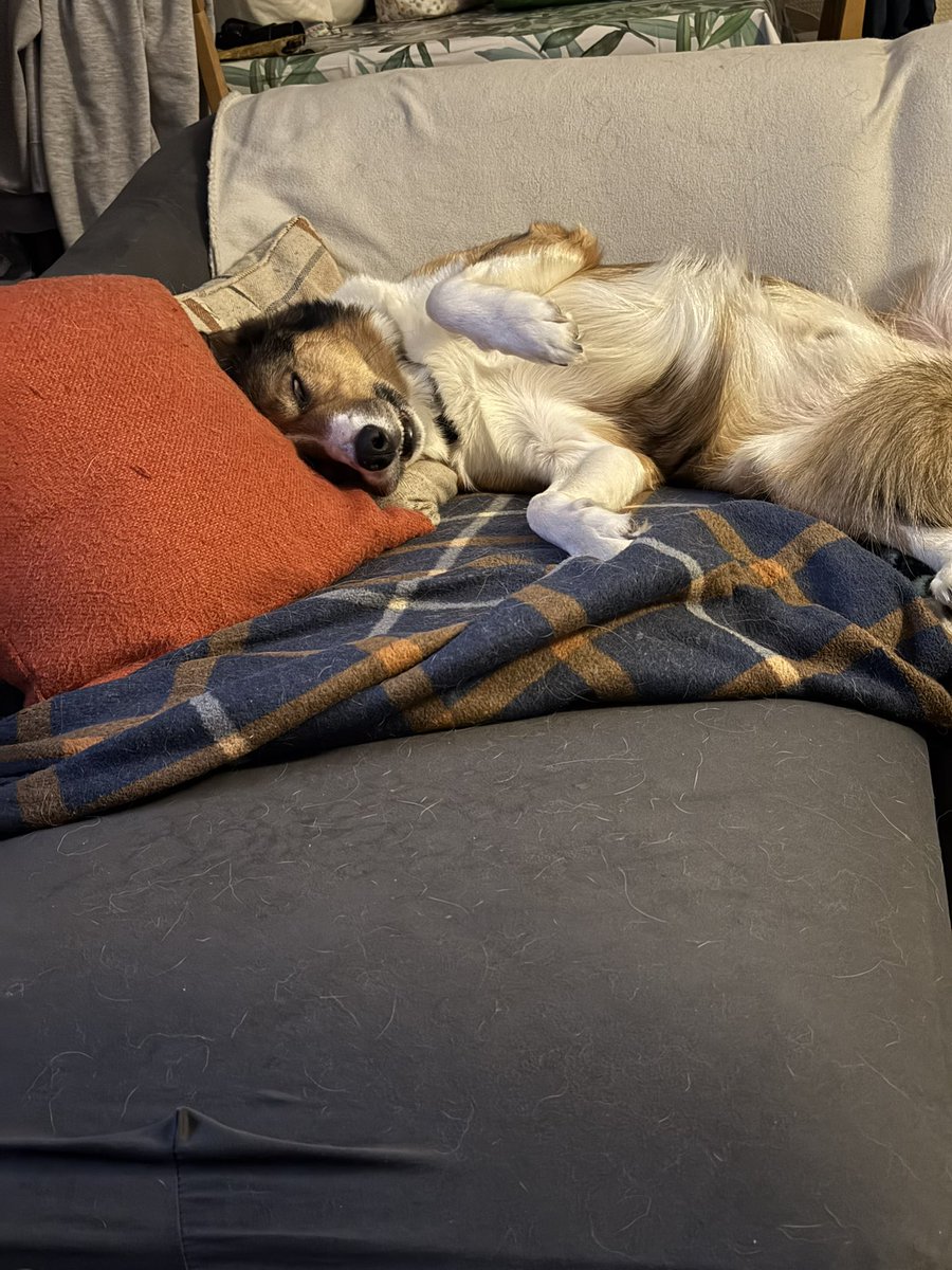 mark page tweet media