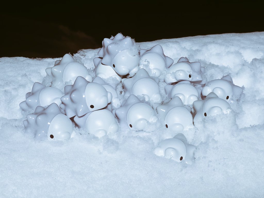 WaRIckhtwaHctUN's tweet photo. 雪あそび https://t.co/6MFdTLbDdN