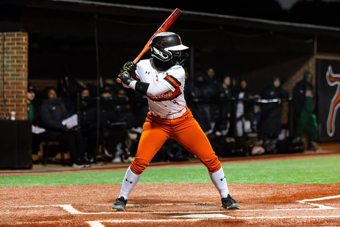 Campbell Softball tweet media