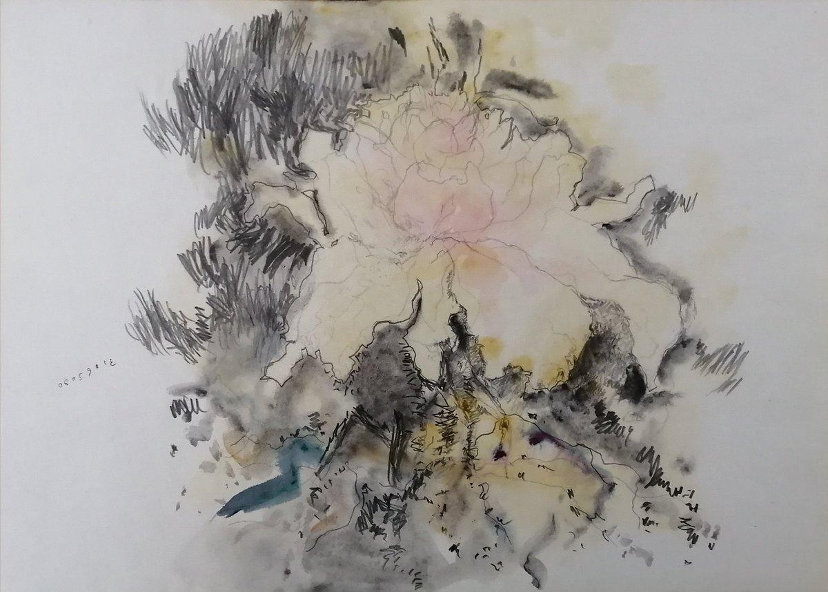 海老澤 功 Isao Ebisawa (@ebisquez) / Posts / X