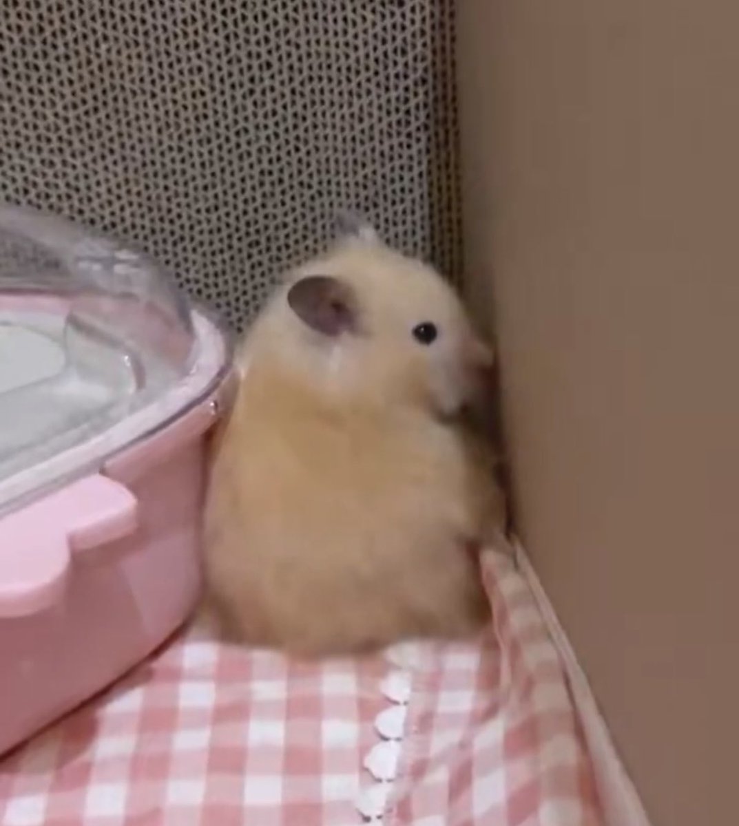 heesevns's tweet image. he’s in timeout