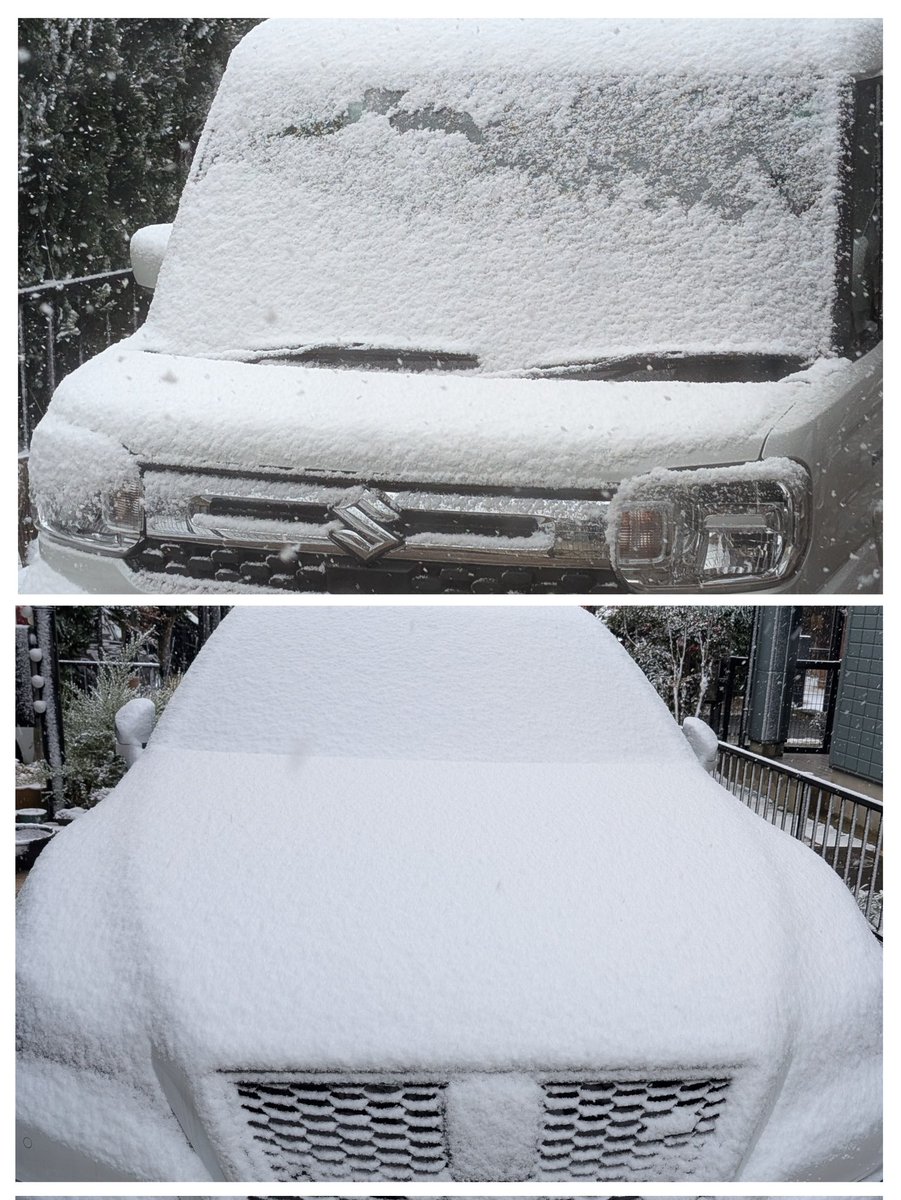 ゆず＆ライム tweet media