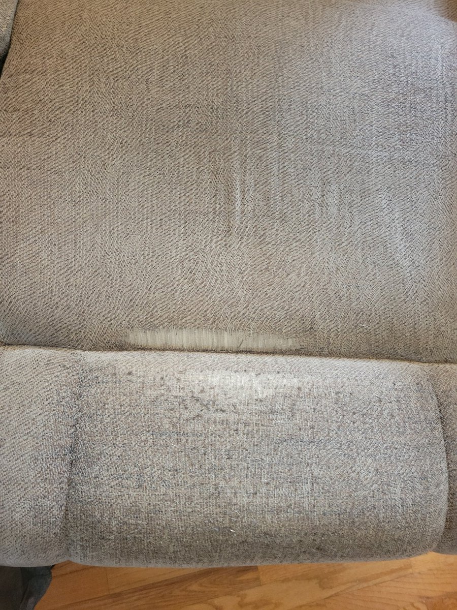 Thebigdeal tweet media