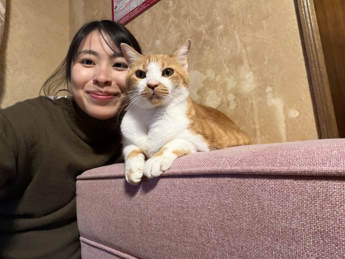 私の高校生の時に連れてきた大事な愛猫、ちくわちゃんが突然天国に行ってしまい、実家戻ってました。
まだ涙が止まらない。お仏壇の前で寝てるみたいだった。こんなにも可愛い猫はいなかった。