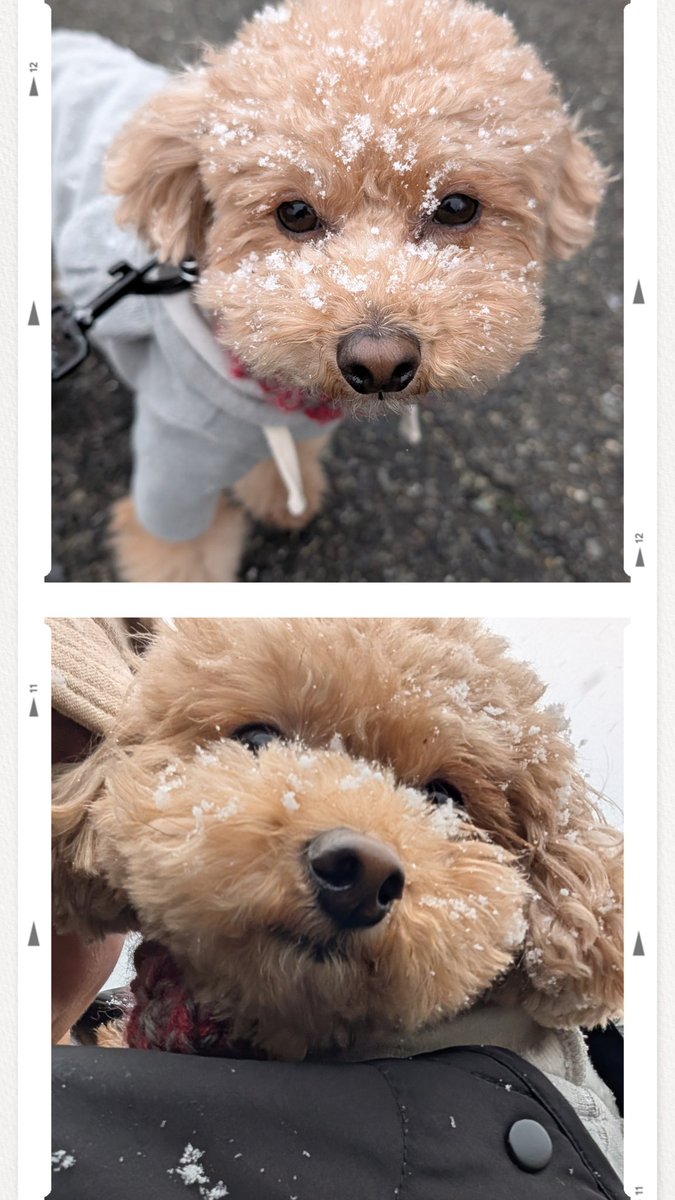 ゆず＆ライム tweet media