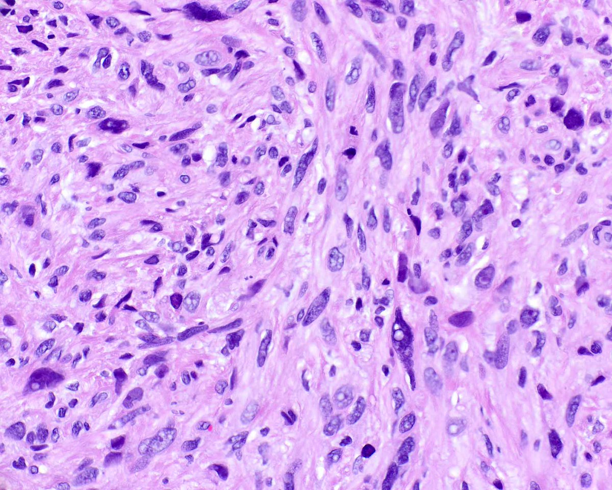 Elizabeth Montgomery, MD tweet media