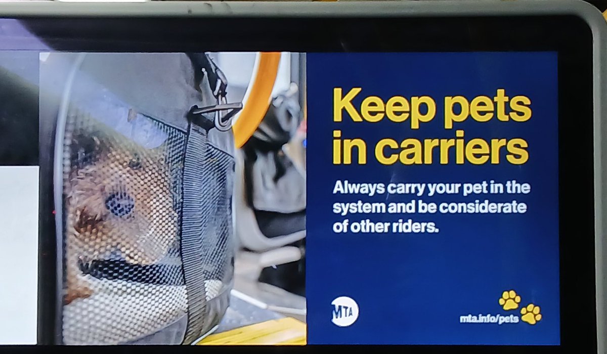 OfinterestO's tweet photo. https://t.co/7o0IxSwuqy

@MTA @NYCTSubway @nycHealthy @NYGovPress @NYCMayor @nycgov @nyc311 @NYCMayorsOffice https://t.co/Z6Td1Llh4t