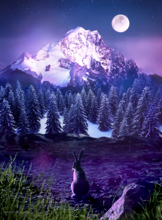 SoapDevine's tweet photo. Art of the Day! "Shades of Purple Winter Forest". Buy at: https://t.co/BwKhHMY33b https://t.co/tVeR0g74t1