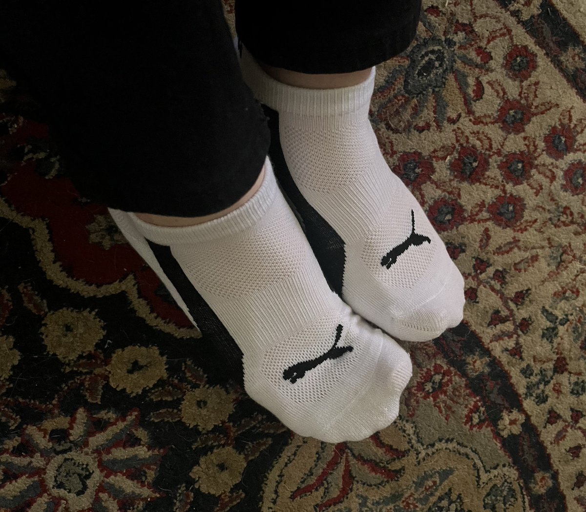 🐰Bunny B. tweet media