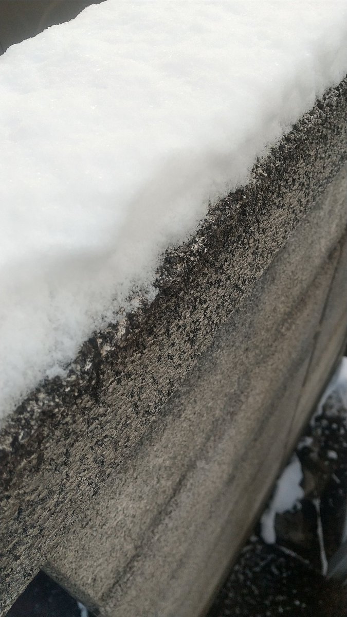 思ってた以上に積もった！❄