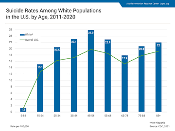 Mentally Trill (Saltine Slayer) tweet media
