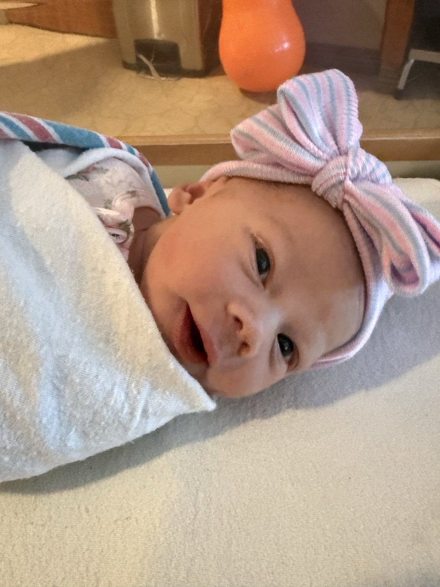 Stu Stuedeman tweet media