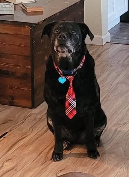 Kristina Bolten tweet media