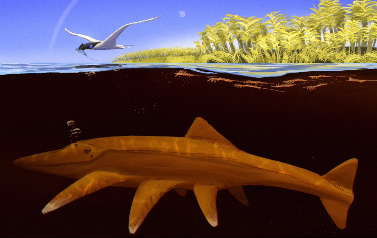 What the fuck is even going on anymore 

Can I get a burger?