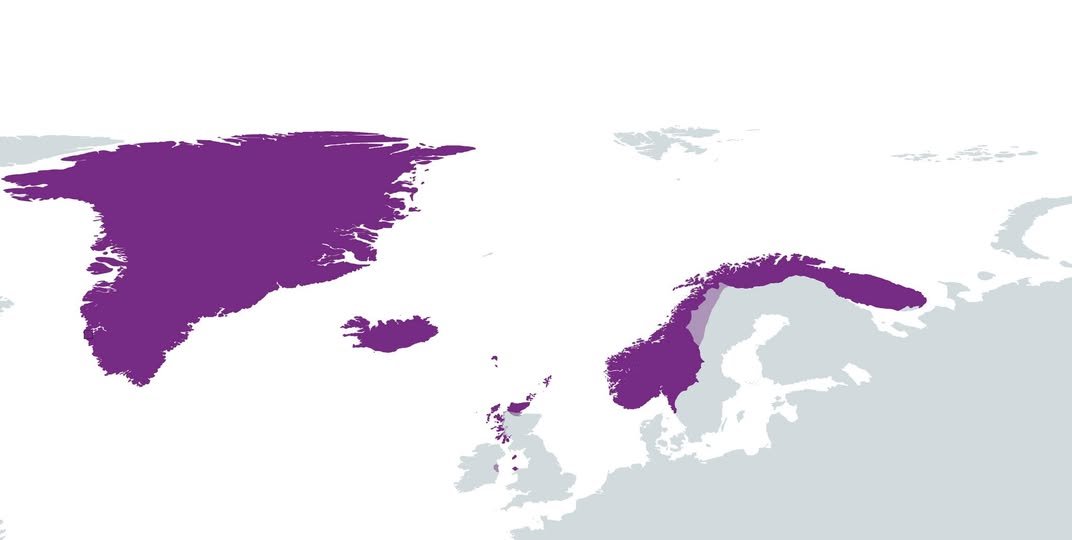 Viking History tweet media