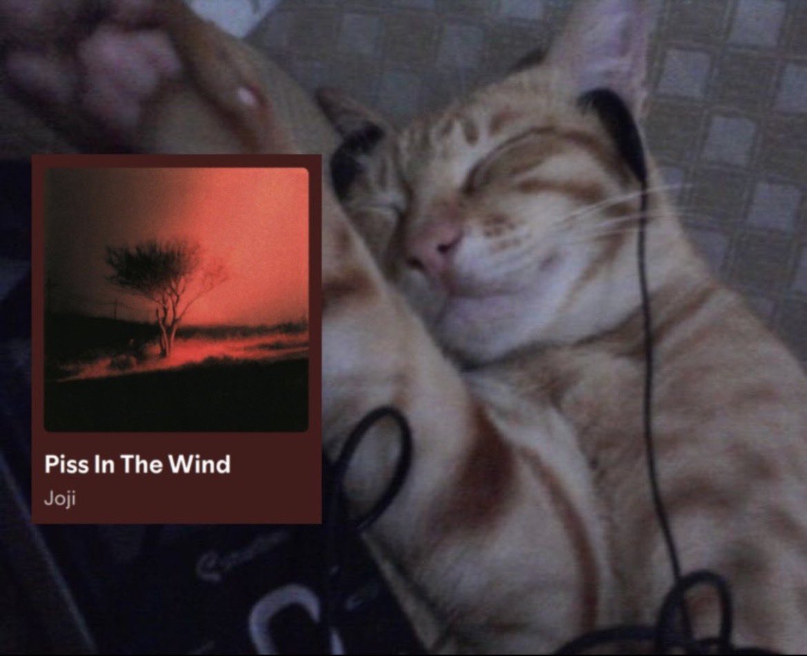 SamridhiArora26's tweet photo. @sushitrash Going back to the older songs because they still feel like home to me. The new album has some beautiful moments too Nectar and BALLADS 1 just hold a special place in my heart 🥲🤍 #pissinthewind https://t.co/gyzatgN8R9
