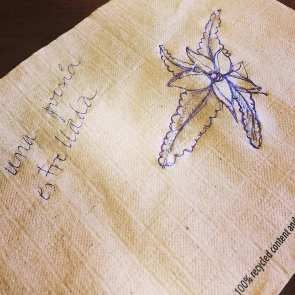 Moriré como la escritora que nunca llegué a ser, habré inaugurado el realismo sistémico o quizás antes de Rilke ya existió.

Diez años de poemas en lápiz grafito amenazan con disolverse en el papel con el roce, ese que dejamos de tener con tantos gritos y sonoridades. 

Dejé todo