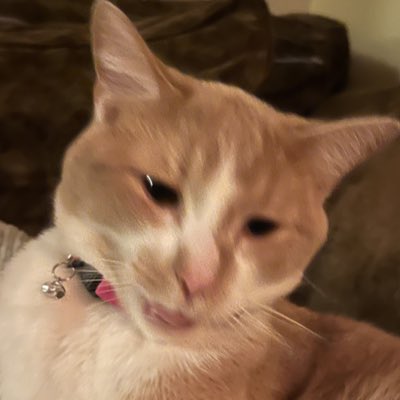 Libby Gerdes tweet media