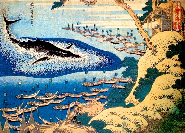 日本神話のイザナギ・イザナミの名前の由来。

古代の日本語では「イザナ」と濁らず「イサナ」と読んでいた可能性が高い。

イザナギ→イサナ（勇魚）＋キ（男）
イザナミ→イサナ（勇魚）＋ミ（女）

イサナは万葉集でも使われるクジラを指す言葉です。