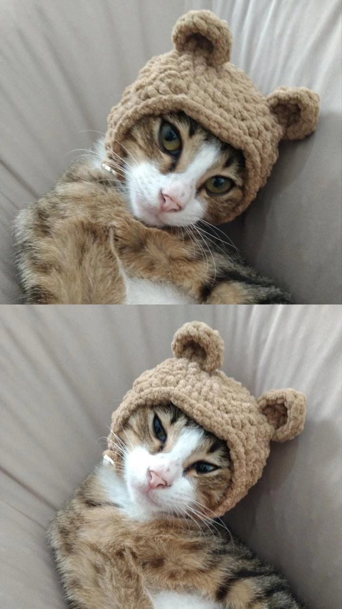 Topi beruangnya cat lovers~~
Material: premium chenile
Drop komen kalau kamu mau juga buat anabul kesayangan🐻🐱🧶