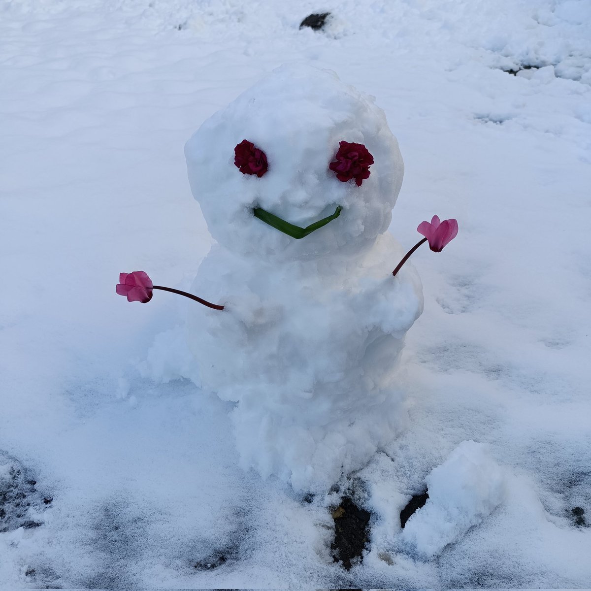 雪崩を打ったような衆議院選挙が終わり、地方議会は３月定例会と予算審議へ。
昨日の大雪での積雪、家の駐車場は日陰なのでまだまだ溶けません。
#小田原市