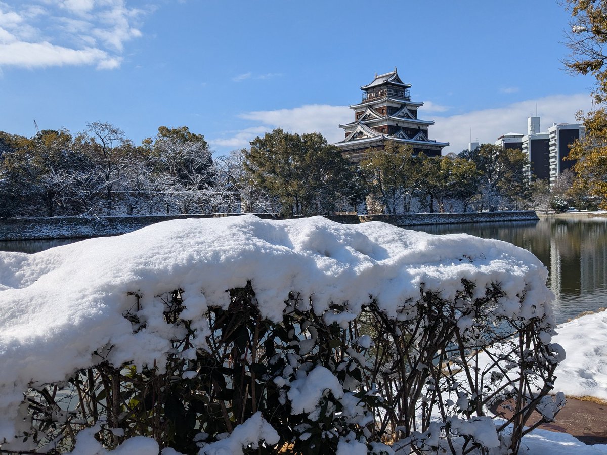 今日の広島城です。閉城する前に雪降って綺麗に撮れました。