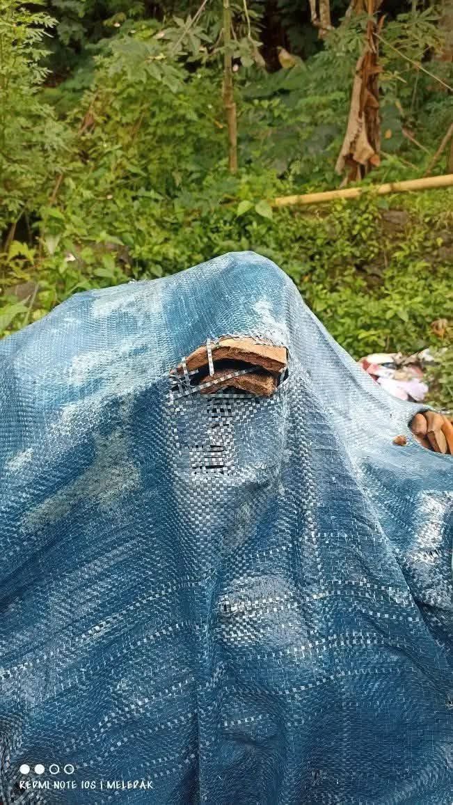 Ah mungkin perasaanku saja