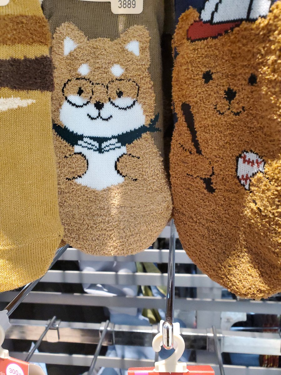 🐢すやすやすわーむ(eepyet) tweet media