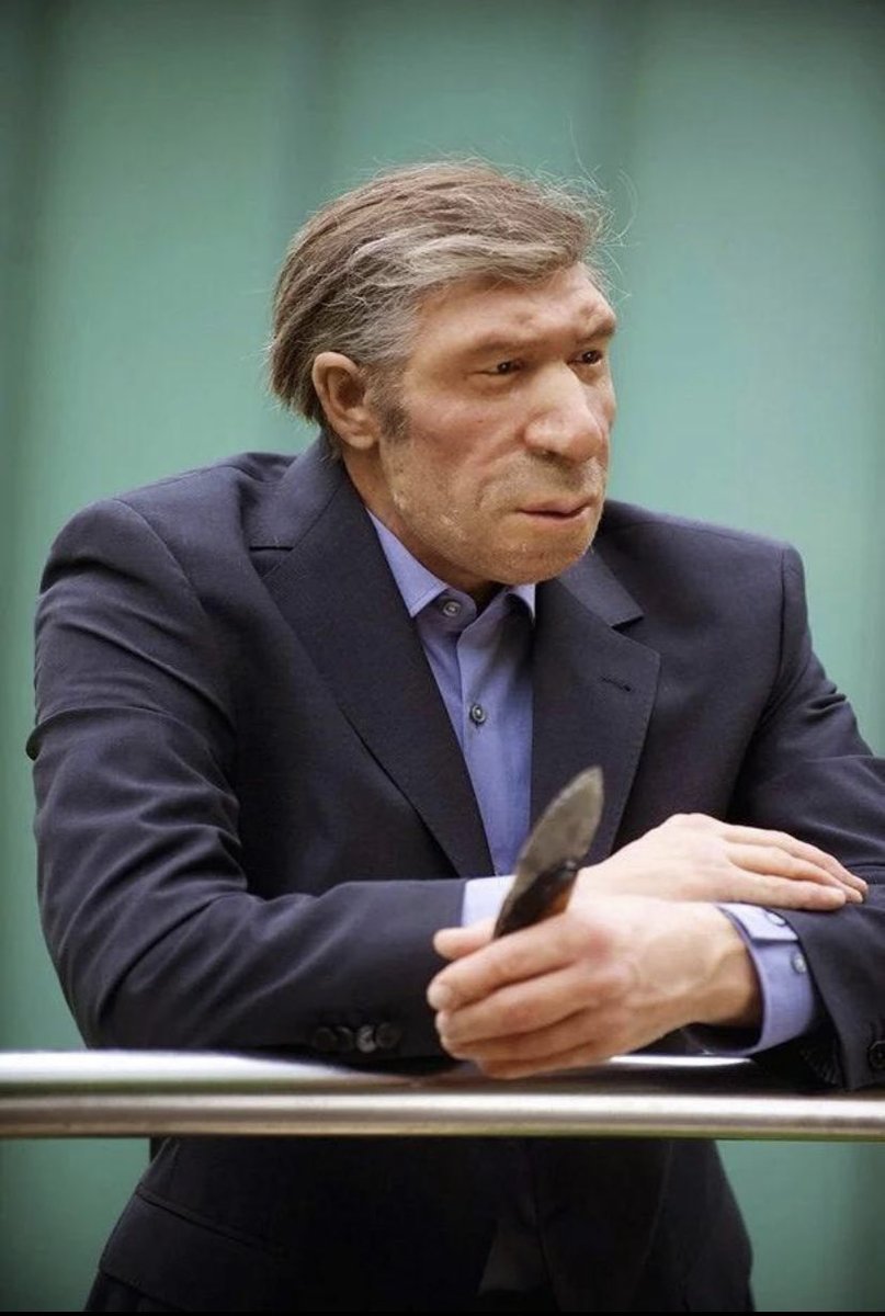 Titans Fan Club tweet media