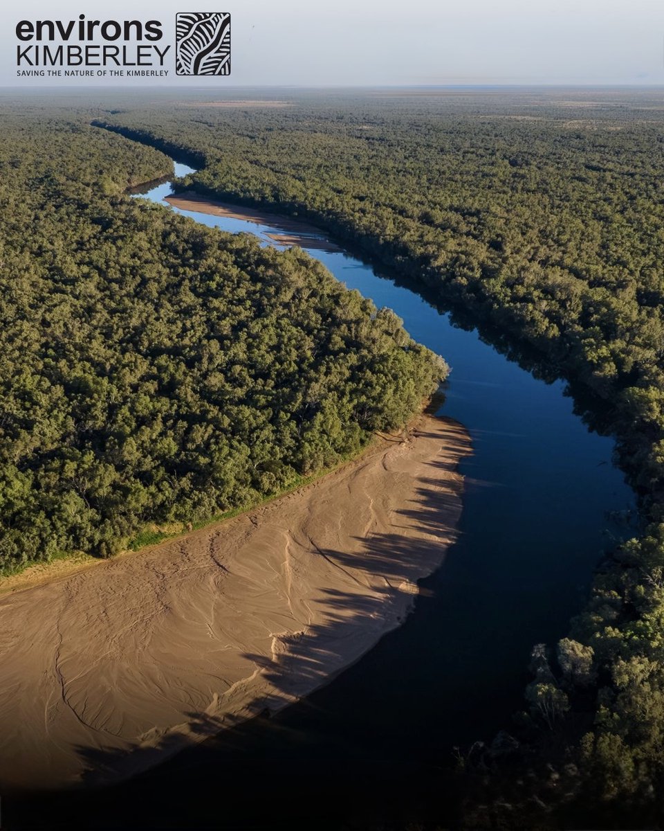 Peter Garrett tweet media