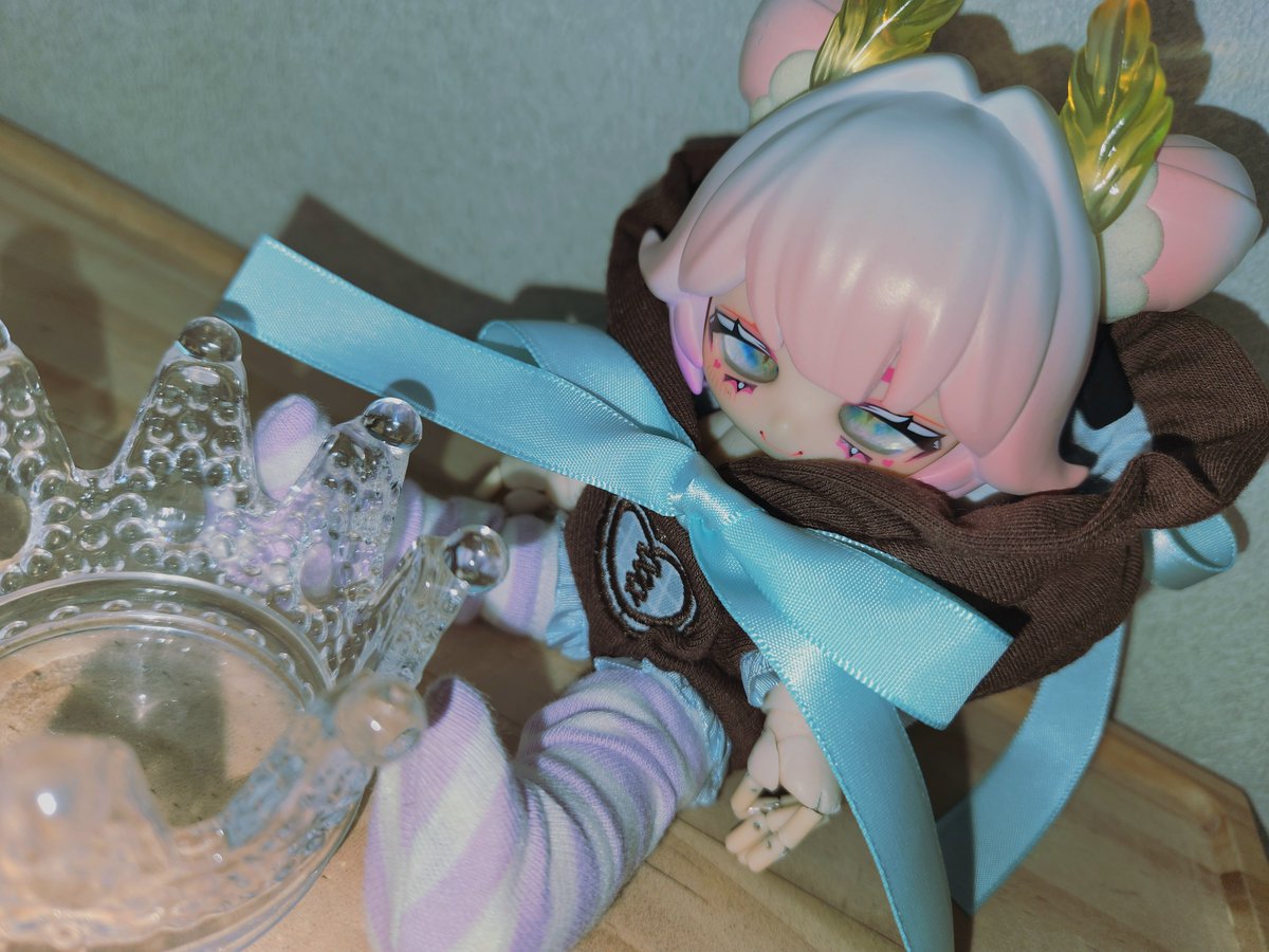 ⚠️ドール写真
#shellycoco 2号店さんで入手した10cmぬい服をジュウジュウちゃんに着てもらいました。
フードもギリギリ被れる(とてもかわいい)