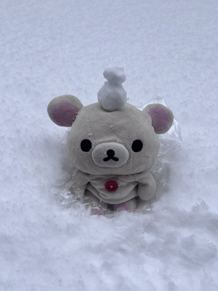 kumanochi_ko's tweet image. 朝起きたらまだ雪残ってた❄️
実は昨日雪と写真を撮ったから載せちゃう👀
※雪は汚いとどこかで聞いたことがあるのでラップを敷いてます笑